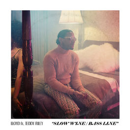 Album cover of Slow Wine Bass Line (feat. Teddy Riley)