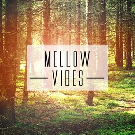 Album cover of Mellow Vibes