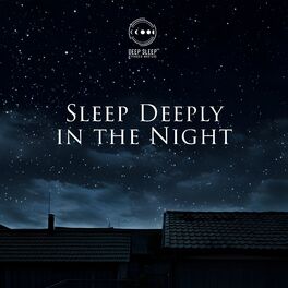Album cover of Sleep Deeply in the Night: Calming Sounds, Midnight Sleep Spells