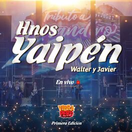 Album cover of Vibra Perú - Primera Edición (En Vivo)