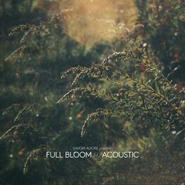 Album cover of Full Bloom (Acoustic)