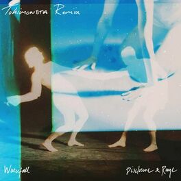 Album cover of Waterfall (TOKiMONSTA Remix)