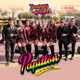 Album cover of Domingos de Fiesta en Concierto (En Vivo)
