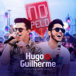 Album cover of No Pelo Em Campo Grande (ao Vivo)