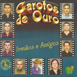 Album cover of Irmãos e Amigos