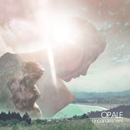 Album cover of L'incandescent