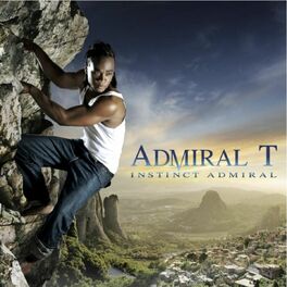 Album cover of Instinct Admiral