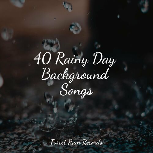 Rain Sounds Collection - 40 Rainy Day Background Songs: Songtexte und Songs  | Deezer