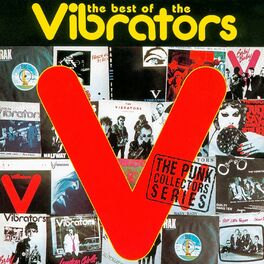 Album cover of The Best Of The Vibrators