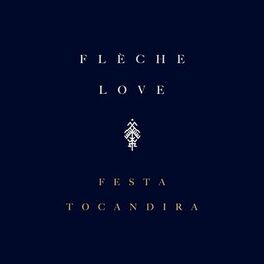 Album cover of Festa Tocandira