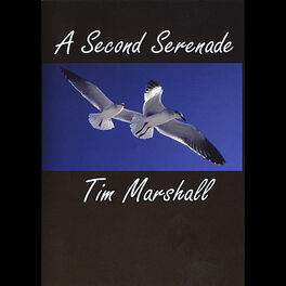 Album cover of The Second Serenade