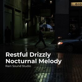 Album cover of Restful Drizzly Nocturnal Melody