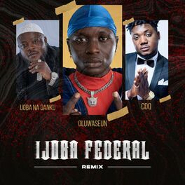 Album cover of Ijoba federal remix (feat. CDQ & oluwaseun)