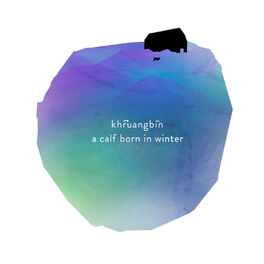 Album cover of A Calf Born in Winter