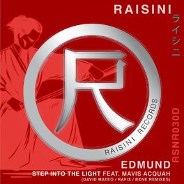 Album cover of Step into the Light (David Mateo, Rafix, Bene Remixes)