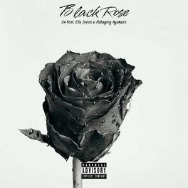 Album cover of Black Rose