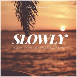 Album cover of Slowly (feat. Chris Young & Stegga Bwoy)
