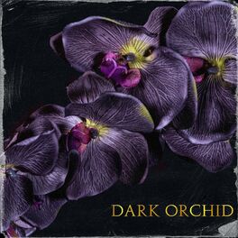 Album cover of Dark Orchid