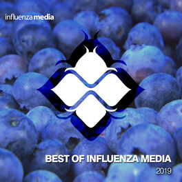 Album cover of Influenza Recap 2019