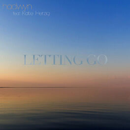 Album cover of Letting Go