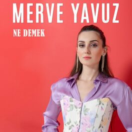 Album cover of Ne Demek (Akustik)