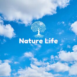 Album cover of Calming Natural Forests