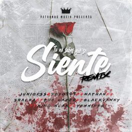 Album cover of Tu No Sabes Que Se Siente (Remix)
