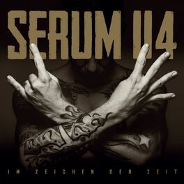 Album cover of Im Zeichen der Zeit