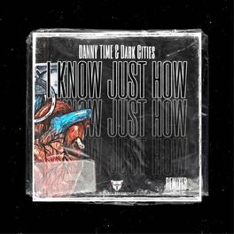 Album cover of I Know Just How Remixes