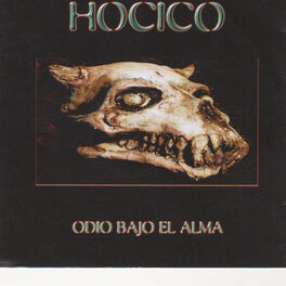 Album cover of Odio Bajo el Alma