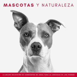Album cover of Mascotas Y Naturaleza: La Mejor Selección De Corrientes De Agua Para La Ansiedad De Los Perros