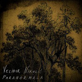 Album cover of Paranormala