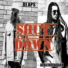 Album cover of Shut Down