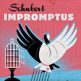 Album cover of Schubert Impromptus