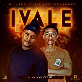 Album cover of iVale