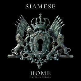Album cover of Home (Instrumentals)