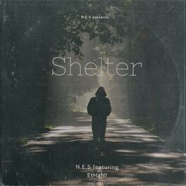 Album cover of Shelter