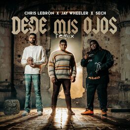 Album cover of Desde Mis Ojos (Remix)