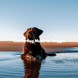 Album cover of Comforting Music for Doggie