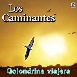 Album cover of Golondrina Viajera
