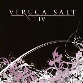 Album cover of IV