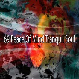 Album cover of 69 Peace of Mind Tranquil Soul