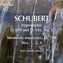 Album cover of Schubert, F.: Impromptus, D. 899 and D. 935, No. 3 / 6 Moments Musicaux (Excerpts)
