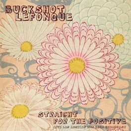 Album cover of Straight For The Positive (Live '95)