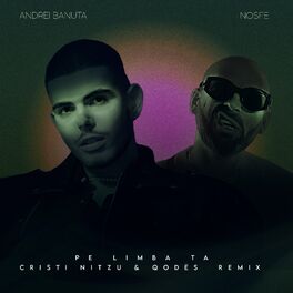 Album cover of Pe Limba Ta (Cristi Nitzu & Qodës Remix)