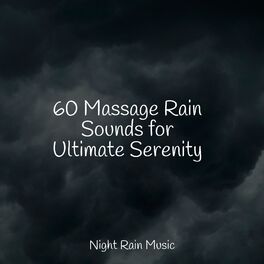 Album cover of 60 Massage Rain Sounds for Ultimate Serenity