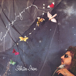 Album cover of Seni Seviyorum