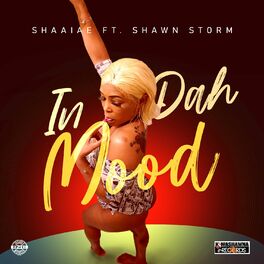 Album cover of In Da Mood (feat. Shawn Storm)