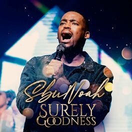 Album cover of Surely Goodness