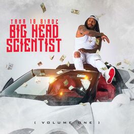 Album cover of Big Head Scientist